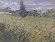 Vincent Van Gogh Green Wheat Field with Cypress (nn04) oil on canvas